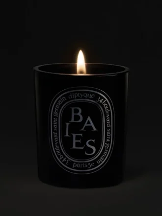 Baies (berries) – medium candle