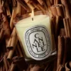 Cannelle (cinnamon) – classic candle