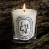 Chene (oak tree) – classic candle