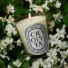 Choisya (orange blossom) – classic candle