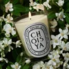 Choisya (orange blossom) – classic candle