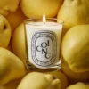 Coing (quince) – classic candle