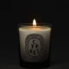 Cypras (cypress) – small candle