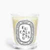 Eucalyptus – classic candle