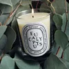 Eucalyptus – classic candle