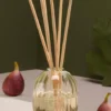Figuier / fig tree home fragrance diffuser refill