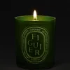 Figuier (fig tree) – medium candle