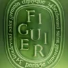 Figuier (fig tree) – very large candle