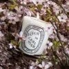 Fleur de cerisier (cherry blossom) – classic candle