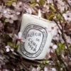 Fleur de cerisier (cherry blossom) – classic candle