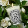 Gardenia – classic candle