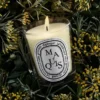 Maquis (scrub) – classic candle