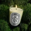 Mousses(moss) – classic candle