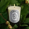 Noisetier (hazel tree) – classic candle