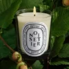 Noisetier (hazel tree) – classic candle
