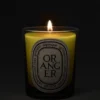 Oranger (orange tree) – classic candle