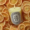 Oranger (orange tree) – classic candle