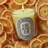Oranger (orange tree) – classic candle