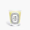 Oranger (orange tree) – classic candle