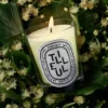 Tilleul (linden tree) – classic candle