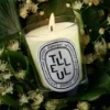 Tilleul (linden tree) – classic candle