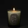 Verveine (lemon verbena) – small candle