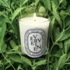 Verveine (lemon verbena) – classic candle
