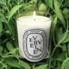 Verveine (lemon verbena) – classic candle